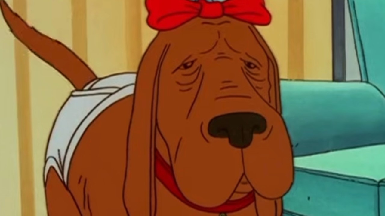 Ladybird in an outfit on King of the Hill