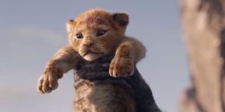 Simba being held up in the air in The Lion King remake