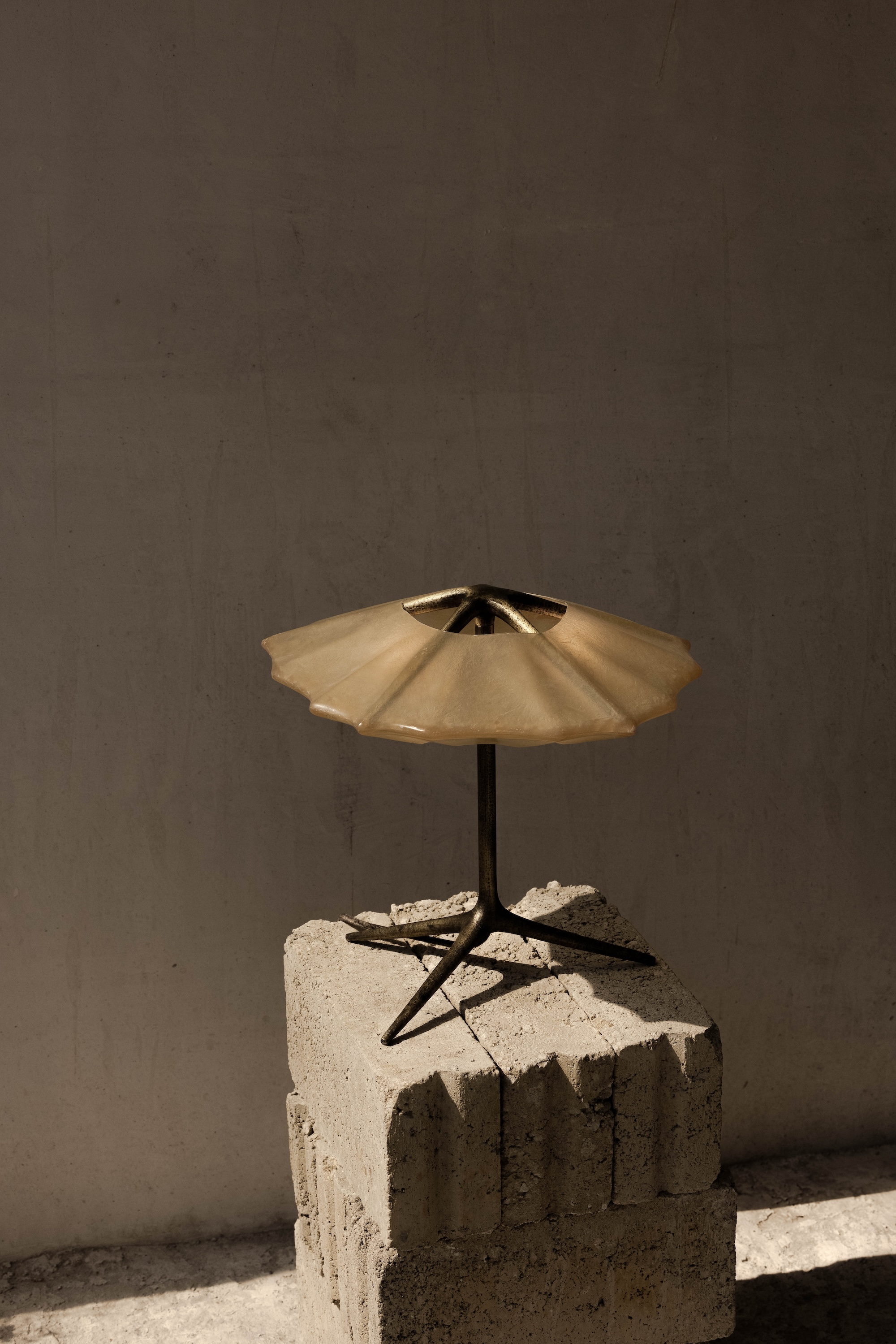 Salina Collection Federico Stefanovich