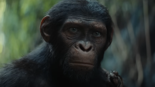 Kingdom Of The Planet Of The Apes: Release Date, Trailer, Cast, And ...