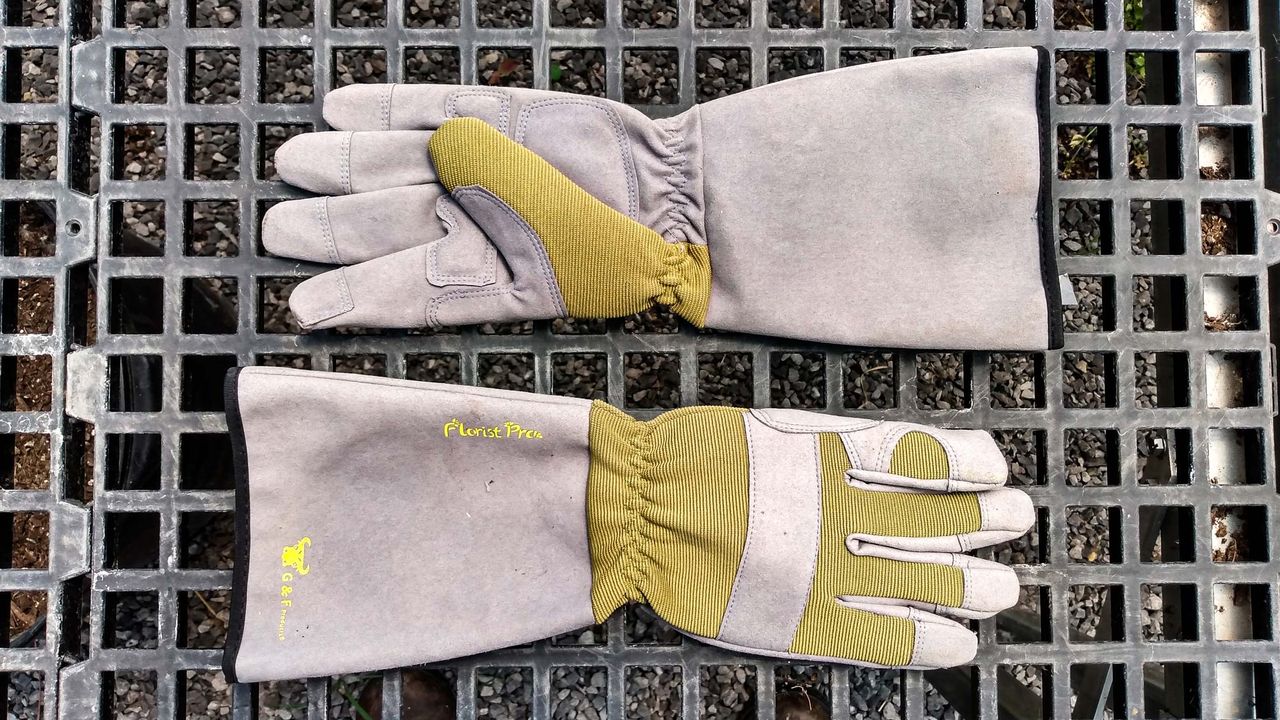 G+F Products 2431L Florist Pro Long Sleeve Rose Gardening Gloves
