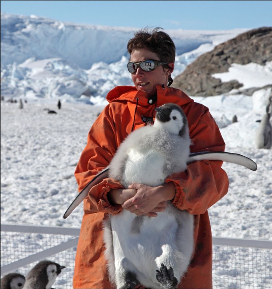 Unhappy Feet: Global Warming Threatens Emperor Penguins