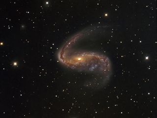 Distorted galaxy NGC 2442