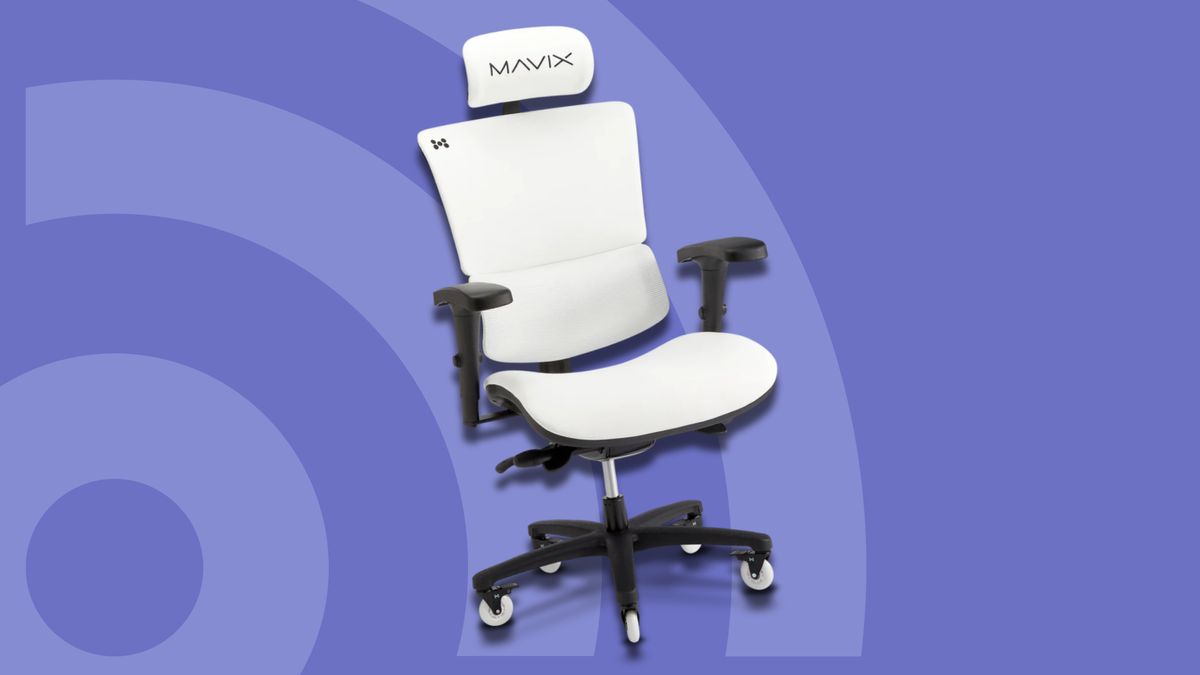 The 4 Best Ergonomic Seat Cushions for 2024