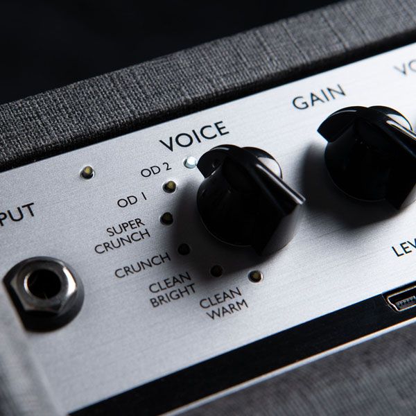 Choose from six preamp voices and partner it with the ISF control to further sculpt your tone.