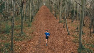 trail runner in autumn woodland