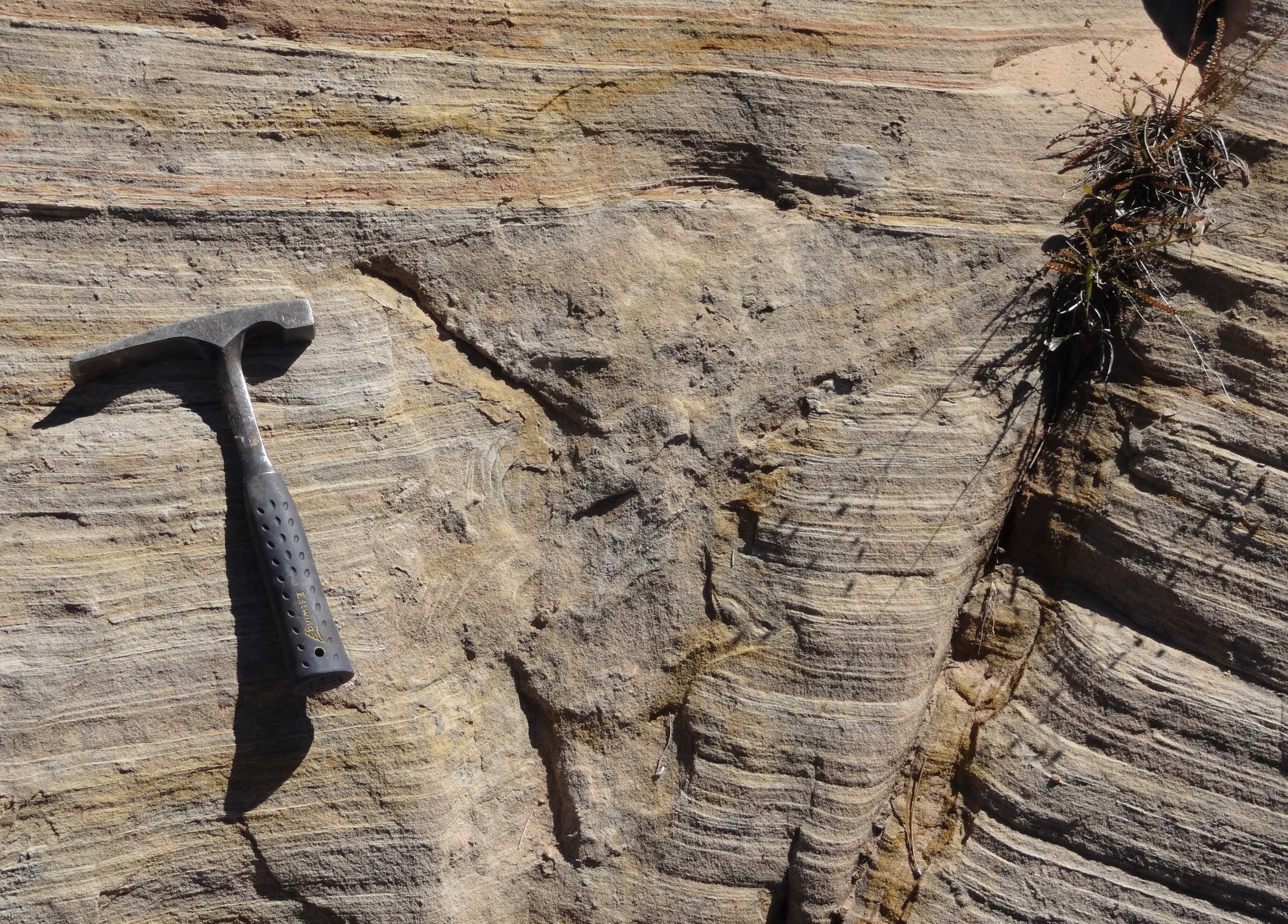 A close-up view of a sand blowout in the Navajo Sandstone in Zion National Park.