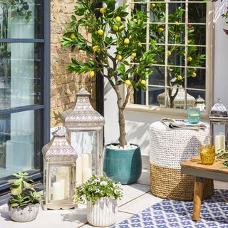 room with lemon plant on pot and white tiled flooring