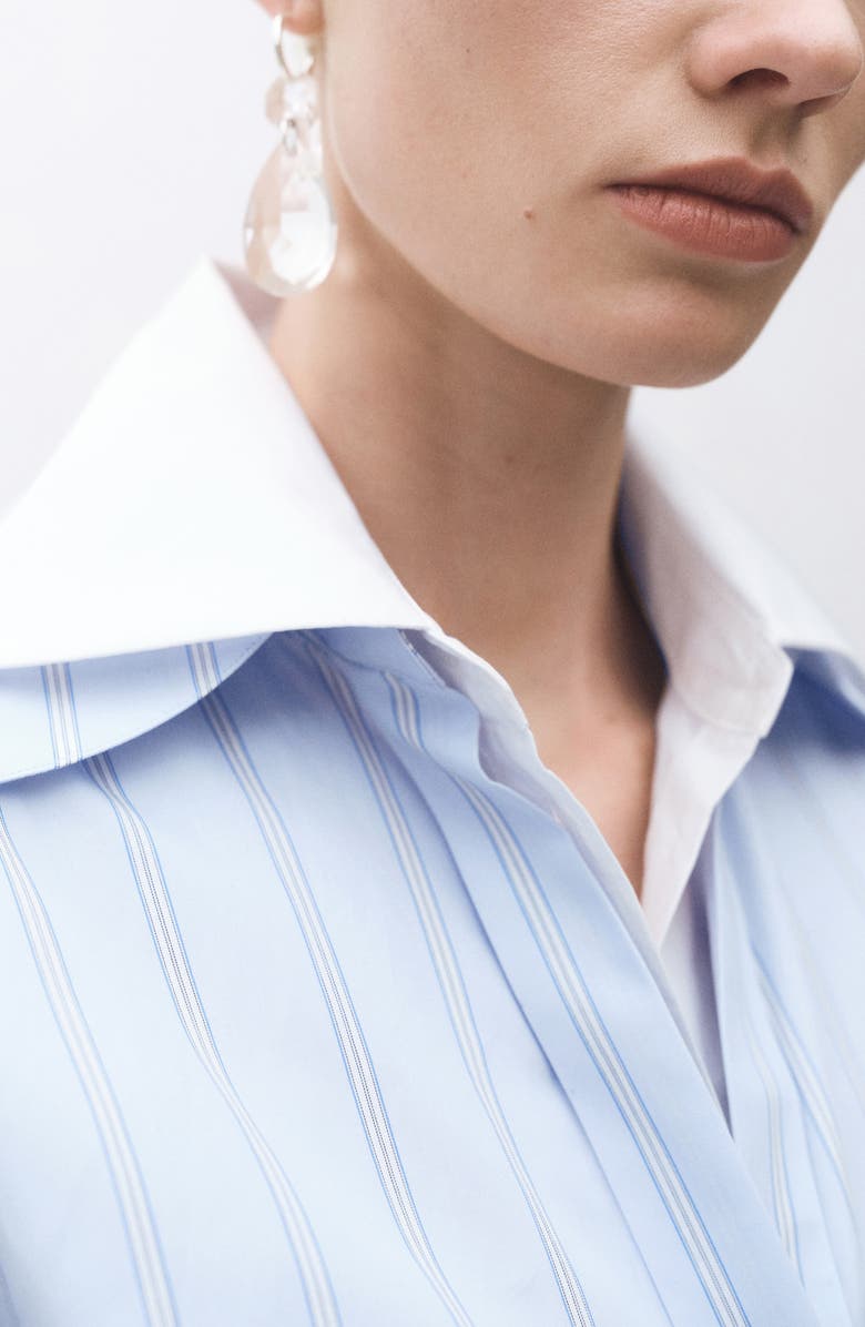 Regular Fit Stripe Cotton Button-Up Shirt