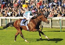 Frankel-ready.jpg