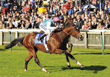 Frankel-ready.jpg