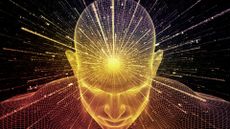 Composition of human face wire-frame and fractal elements with metaphorical relationship to mind, reason, thought, mental powers and mystic consciousness.