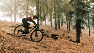 Rider descends through a dry forest