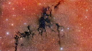 A celestial shadow known as the Circinus West molecular cloud creeps across this image taken with the Department of Energy-fabricated 570-megapixel Dark Energy Camera (DECam)