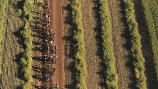 Aerial view of women's field, stage 2 of the 2021 Absa Cape Epic