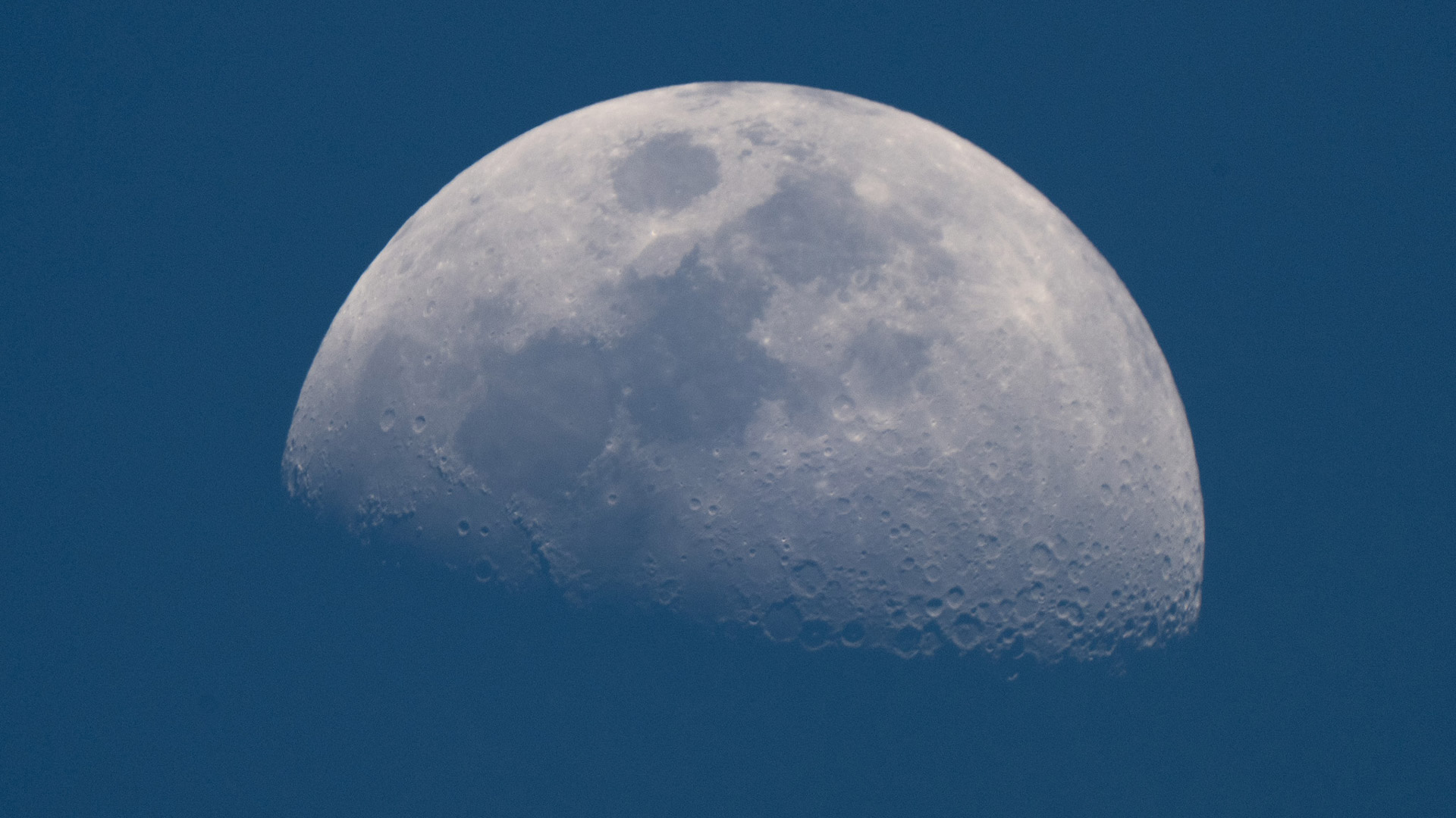 Nikon Z9 Experiential