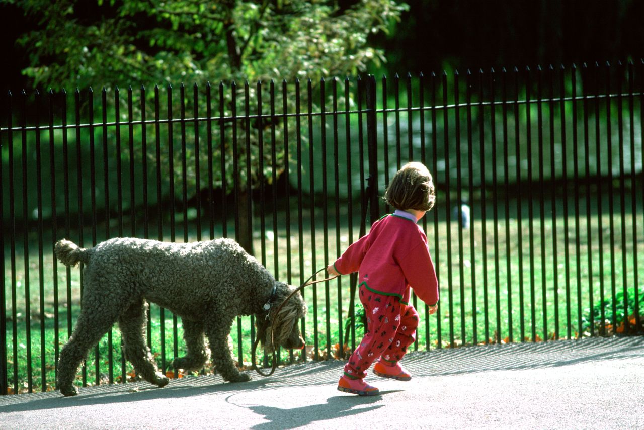 UK London. Little girl and dog walking in Regent&#039;s Park