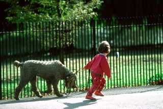 UK London. Little girl and dog walking in Regent's Park