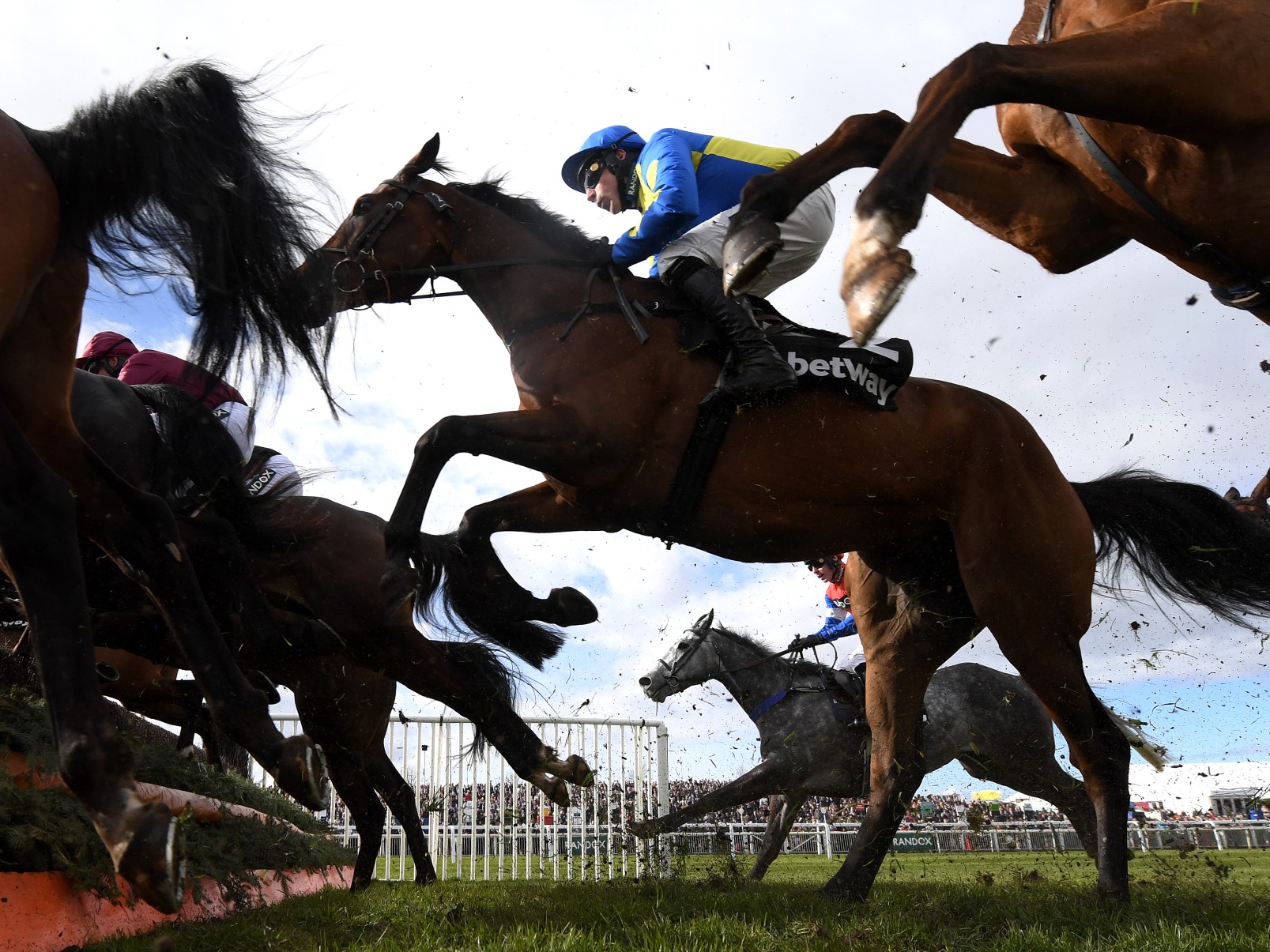 Which horses died at the Grand National 2022 at Aintree? GoodTo