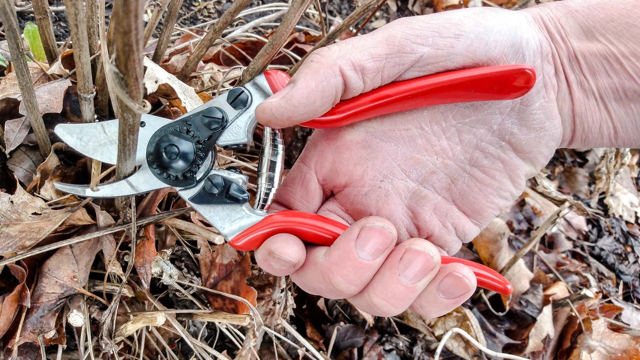 Best Pruning Shears: