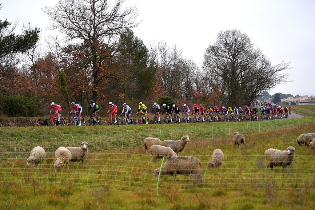 LA CALMETTE FRANCE FEBRUARY 04 Tom Bohli of Switzerland and Team Cofidis Solutions Credits Niki Terpstra of Netherlands and Team Total Direct Energie and the peloton during the 51st toile de Bessges Tour du Gard 2021 Stage 2 a 154km stage from SaintGenis to La Calmette Landscape EDB2020 on February 04 2021 in La Calmette France Photo by Luc ClaessenGetty Images