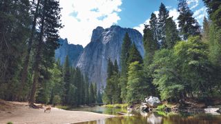 Yosemite National Park ranked in list of most instagrammable landmarks in America