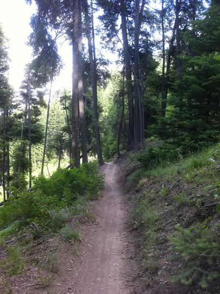Some downhill singletrack.