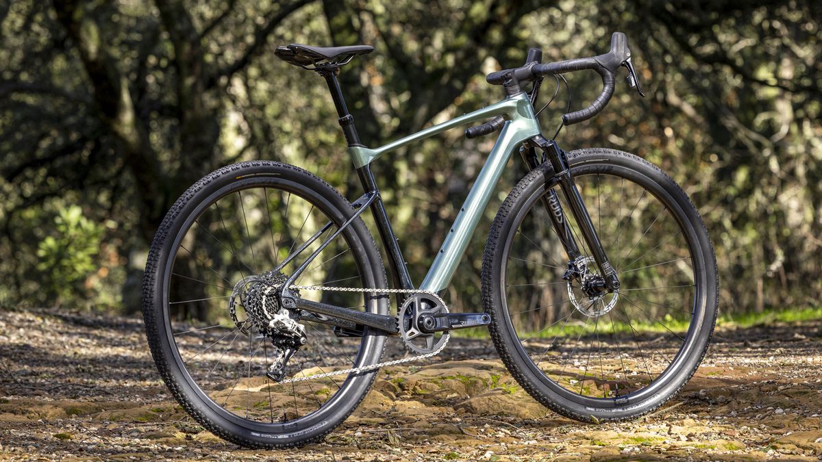 Giant Revolt X gravel bike in a forest