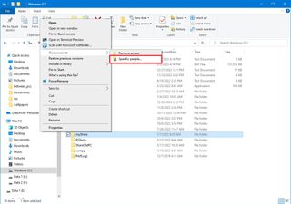 File Explorer advanced file sharing option