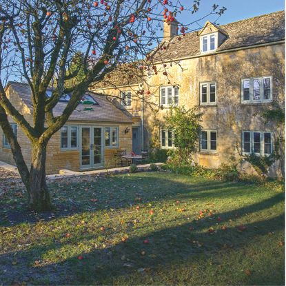 Exterior of extended Cotswold cottage on crisp bright autumn day. Fallen leaves and apples on lawn beneath apple tree.