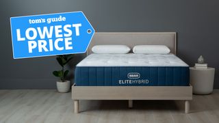 Bear Elite Hybrid mattress with Lowest Price graphic overlaid