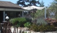 Plant, Property, Landscape, Real estate, Land lot, House, Woody plant, Home, Botany, Shrub,