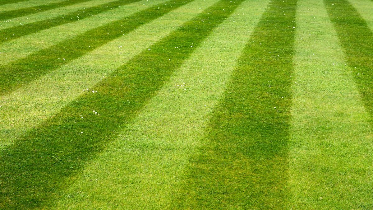 How to create lawn stripes | Top Ten Reviews