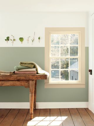 a sage green wall in a hallway