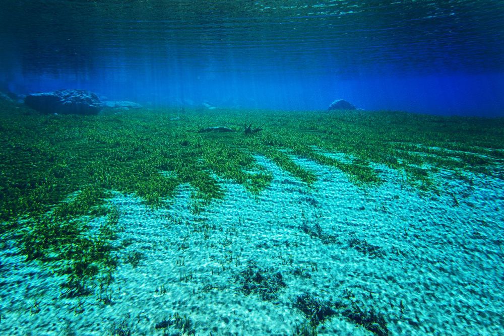 Photos: The Clearest Lake on Earth | Live Science