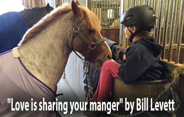 BILL-LEVITT-TWEET.jpg