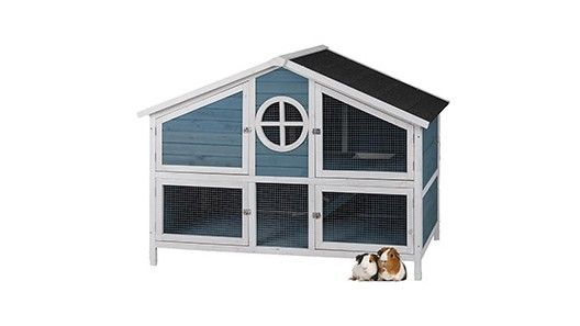 guinea pig hammock pets at home