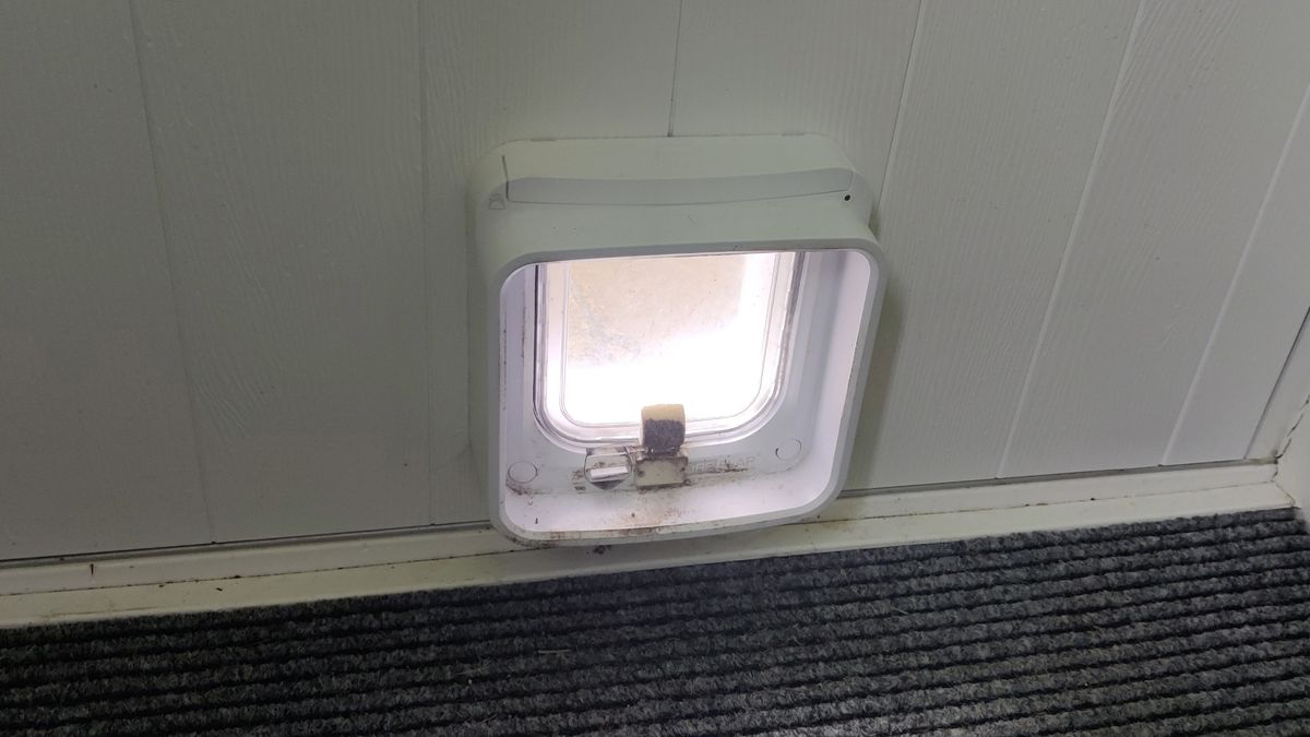Picture of Looking for the best microchip cat flap 2025? We’ve tested them all ...