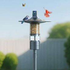 Birdfy Feeder Vista in garden with birds visiting