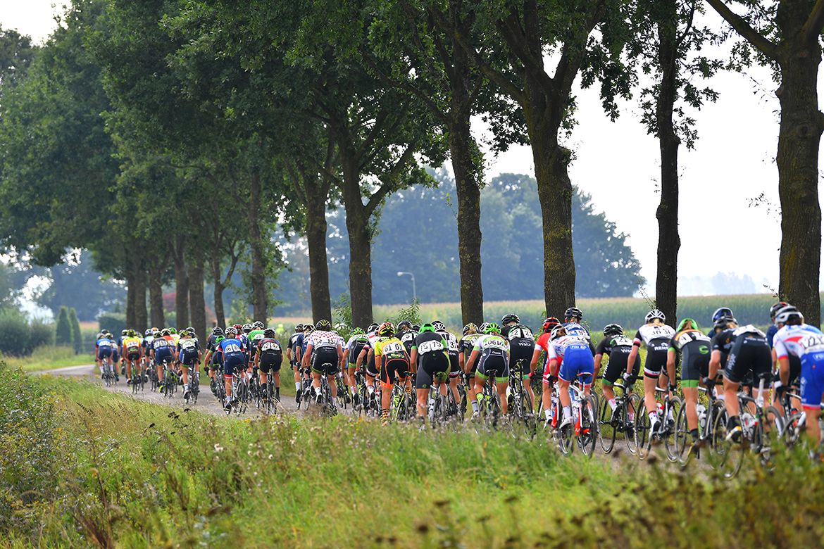 The peloton stings out