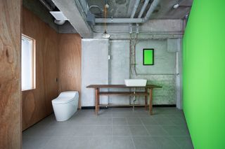 bathroom and lime green wall in artist studio by ab rogers