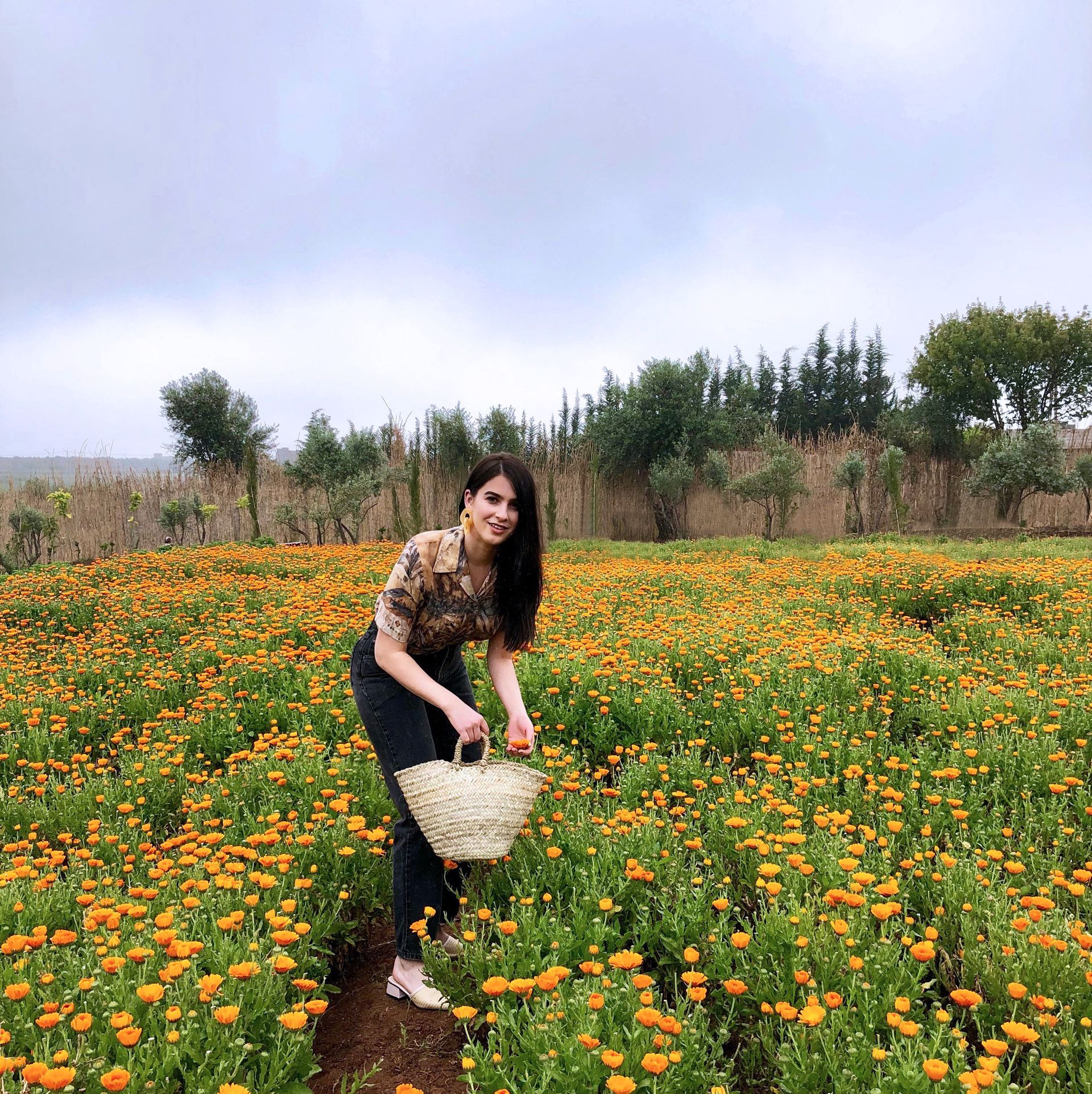People in nature, Flower, Plant, Meadow, Field, Wildflower, Spring, Flowering plant, Farm, Crop,
