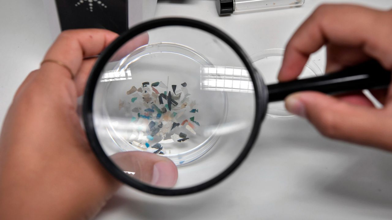 Microplastics found in ocean life off Greece