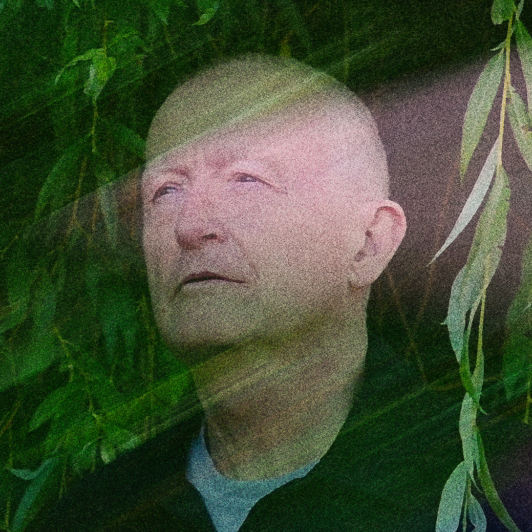 Steve Davis