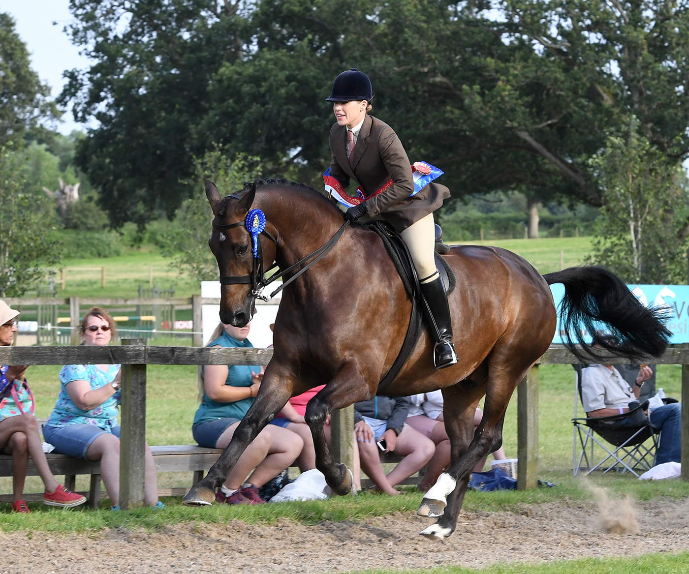 RIHS 23.07.21Amateur Hunter Champ. No. 9