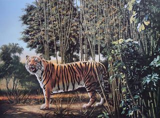 The hidden tiger optical illusion