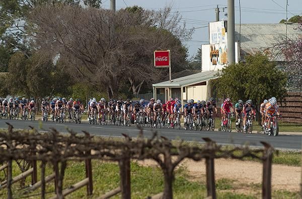 The peloton make their way around the streets of Red Cliffs.