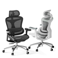 Sihoo Doro C300 Ergonomic Office Chair: $360 Now $280 at Amazon
Save $80