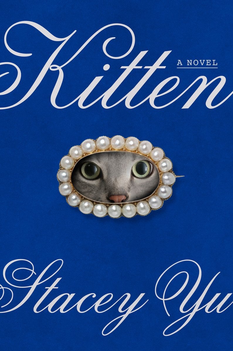 Kitten