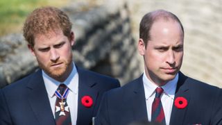 lille, france april 09 prince william, duke of cambridge and prince harry walk through a trench during the commemorations for the 100th anniversary of the battle of vimy ridge on april 9, 2017 in lille, france photo by samir husseinwireimage
